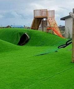 Artificial Turf 2