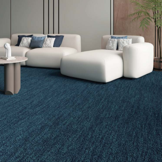Medium Grade Wall to Wall Carpet
